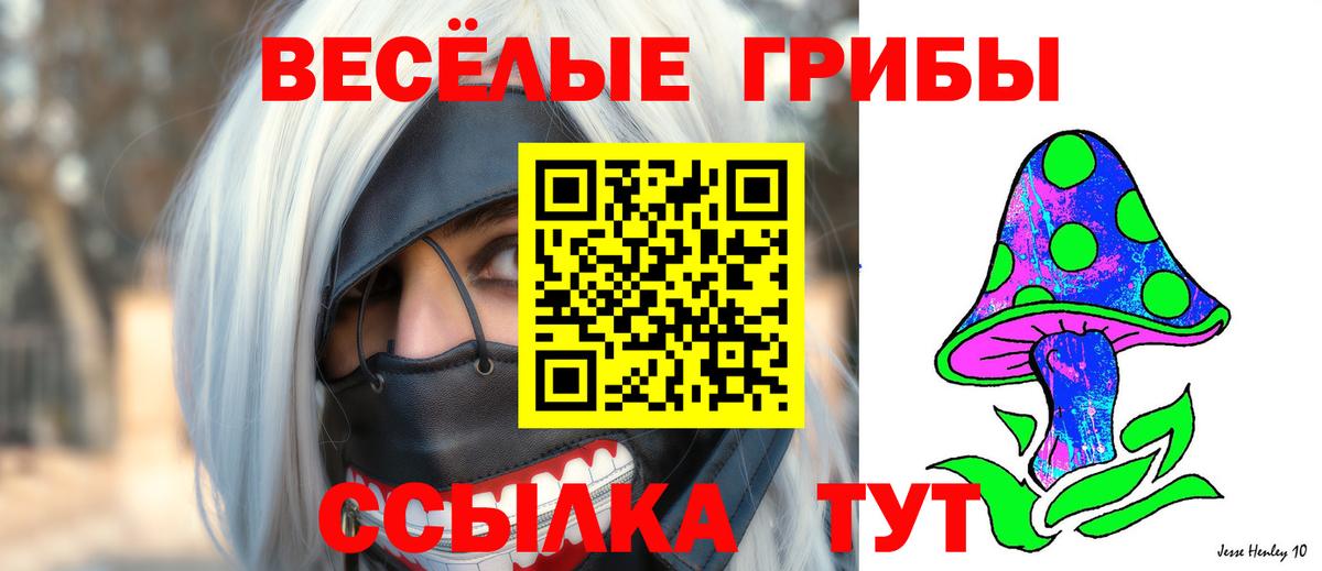 Семёнов  Псилоцибиновые грибы Cubensis  Вход с VPN 